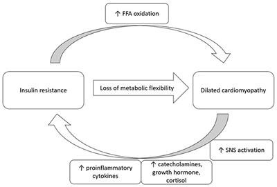 Review of Insulin Resistance in Dilated Cardiomyopathy and Implications for the Pediatric Patient Short Title: Insulin Resistance DCM and Pediatrics